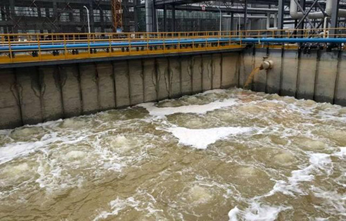 1702105865922731.jpg 未標題-1.jpg